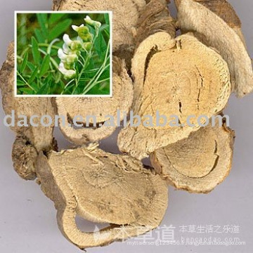 sophora flavescens extrait de racine de var poudre 10% à 98% Oxymatrine